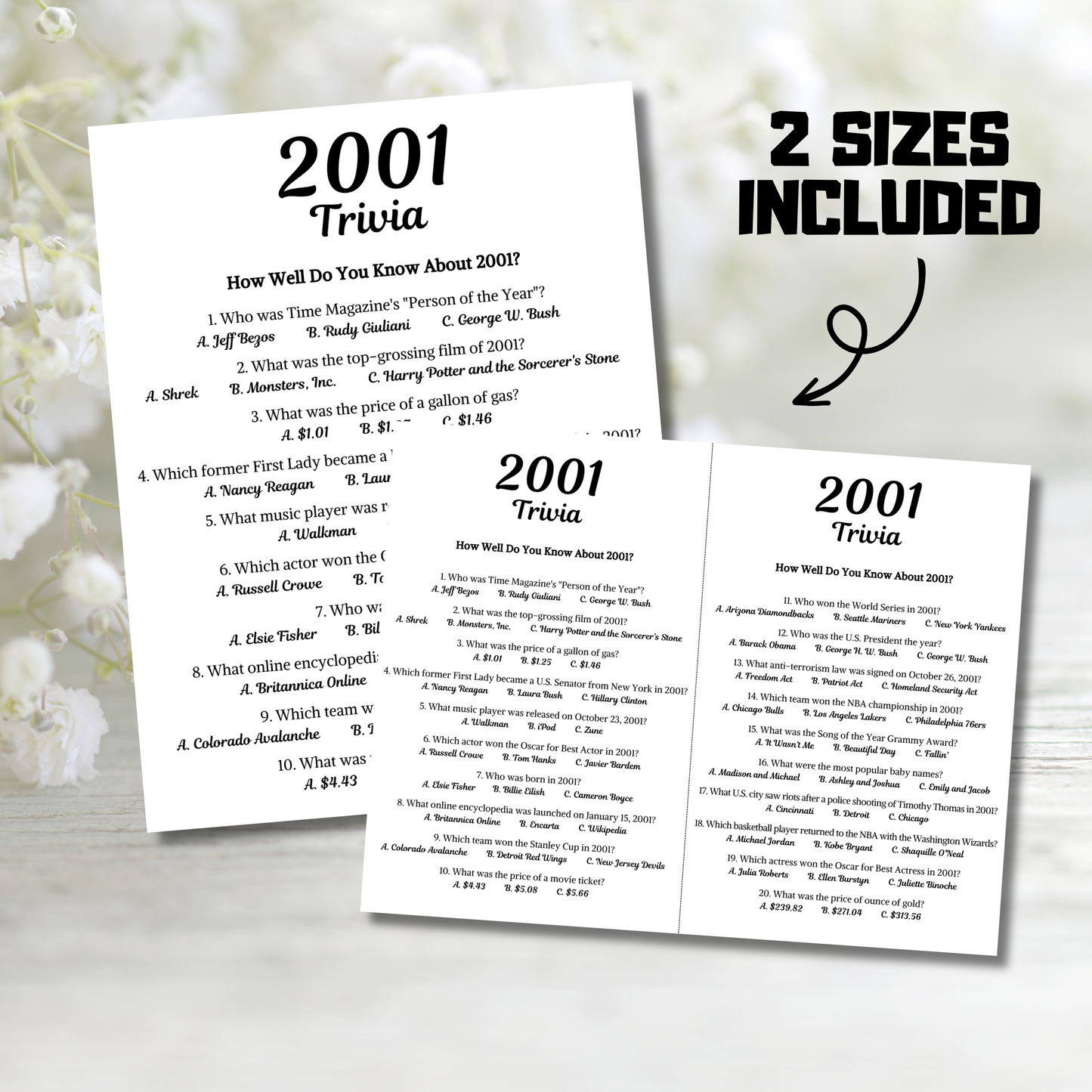 2001 Trivia Game | Printable 24th Birthday Party Game