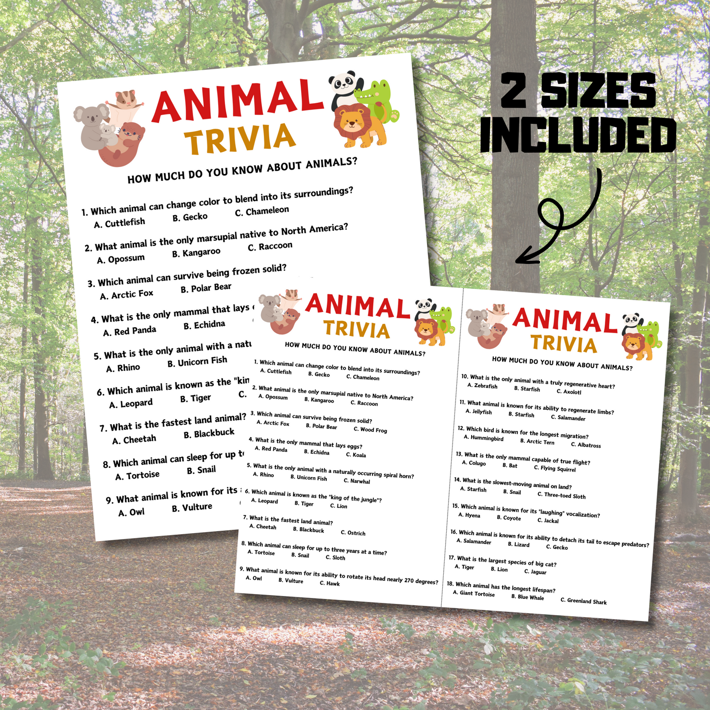 Animal Trivia Game | Animal Knowledge Quiz Game
