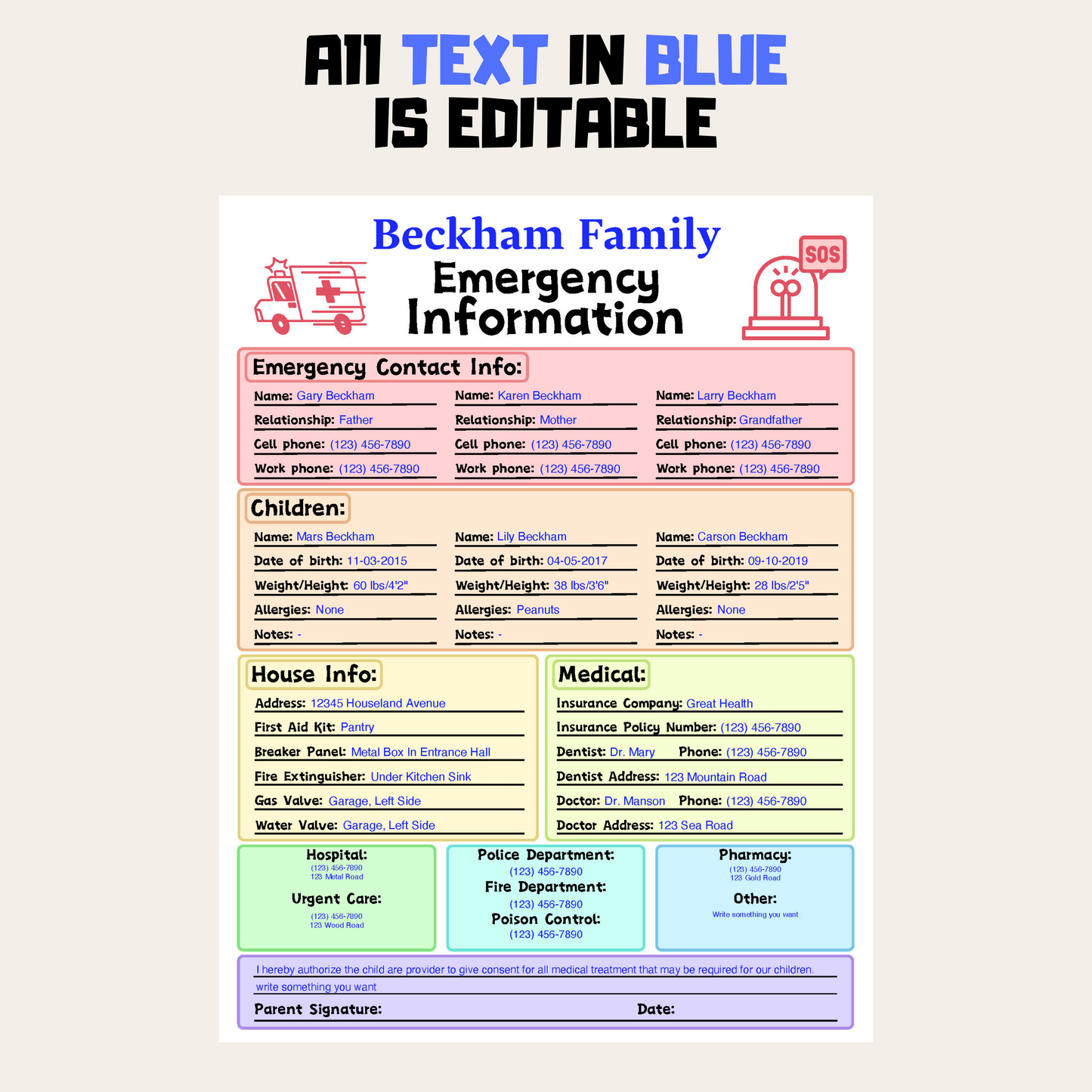 Editable Emergency Contact Information Sheet 1: Rainbow Color Editable Demo Display