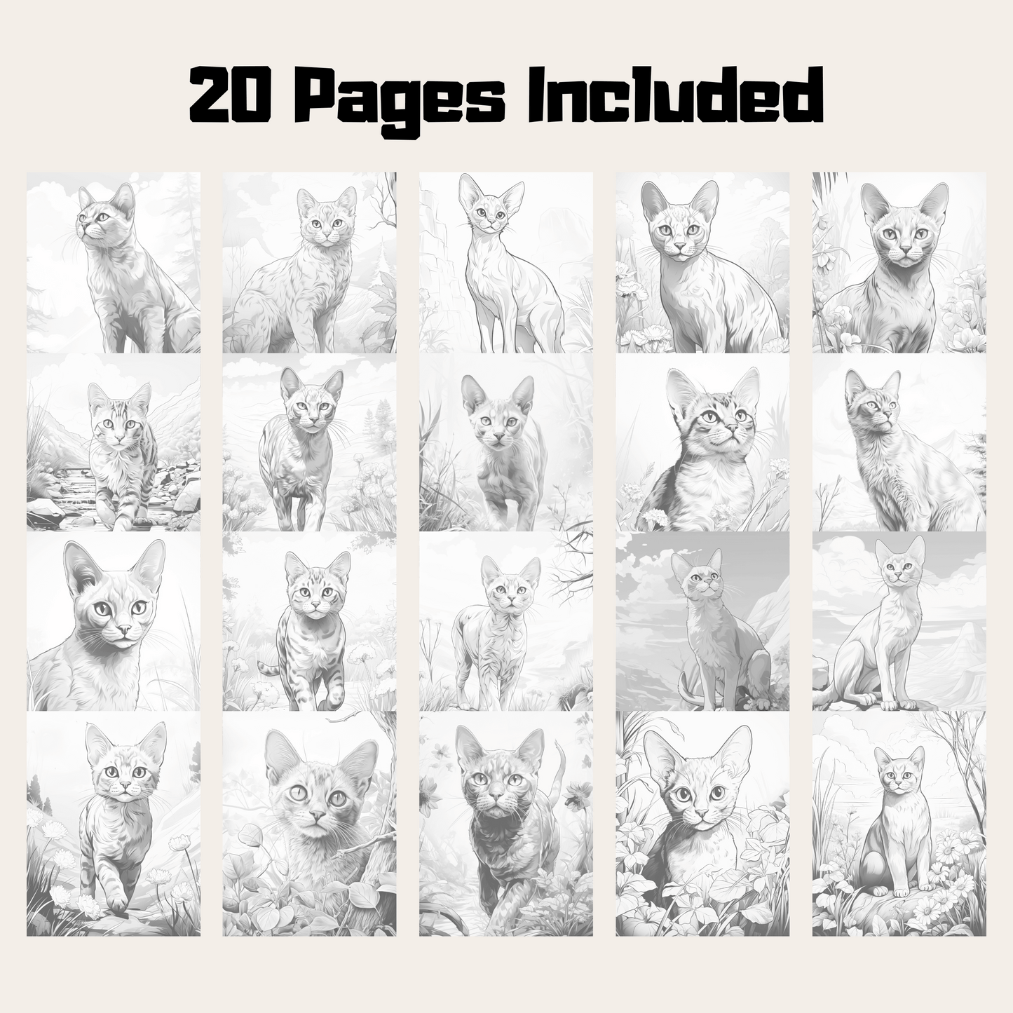 Realistic Abyssinian Cat Coloring Book, 20 Abyssinian Cat Grayscale Coloring Pages