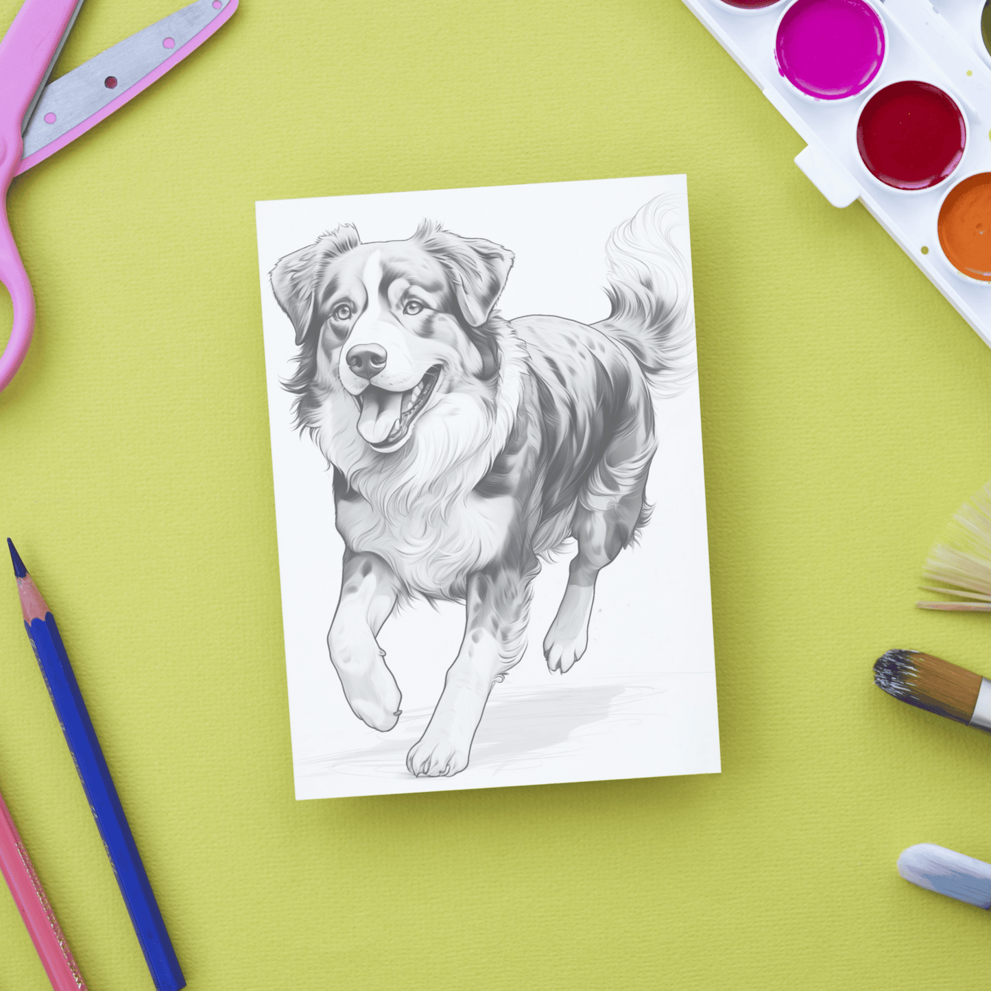 Realistic Berner Sennenhund Coloring Book, 20 Bernese Mountain Dog Grayscale Coloring Pages