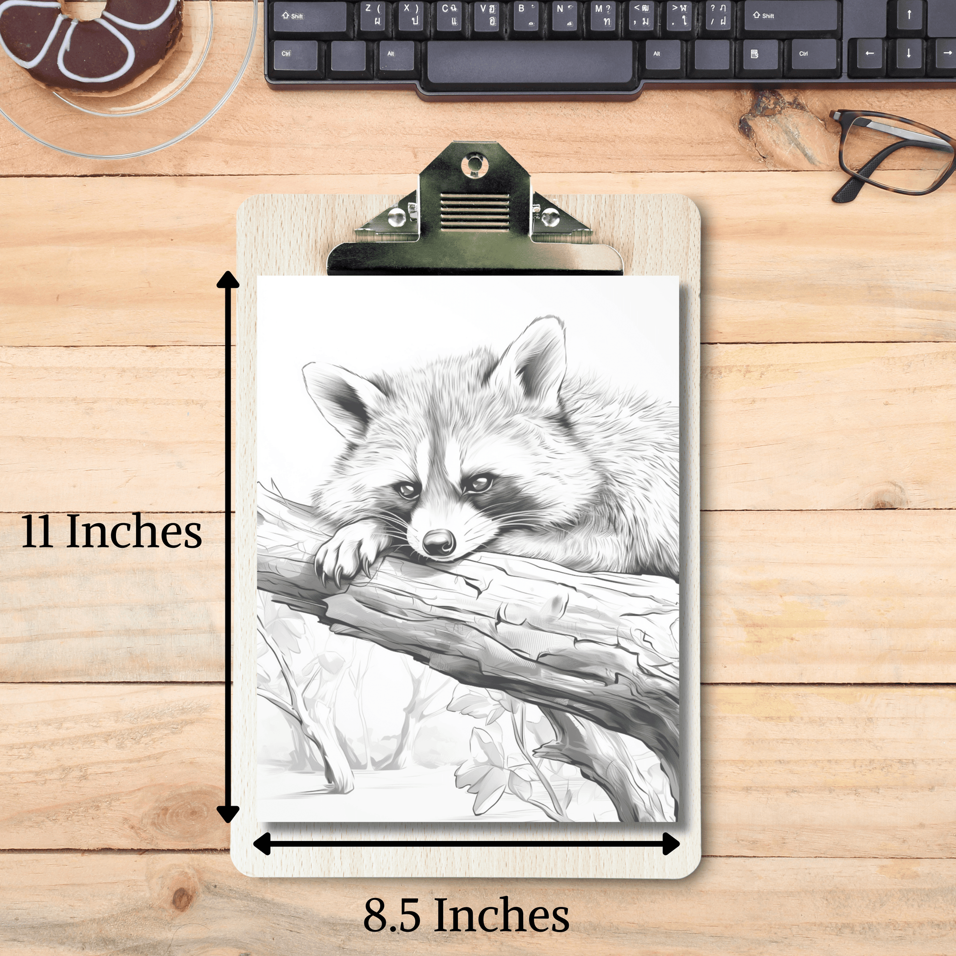 Realistic Raccoon Coloring Book 1: Raccoon Print Out Size Demo