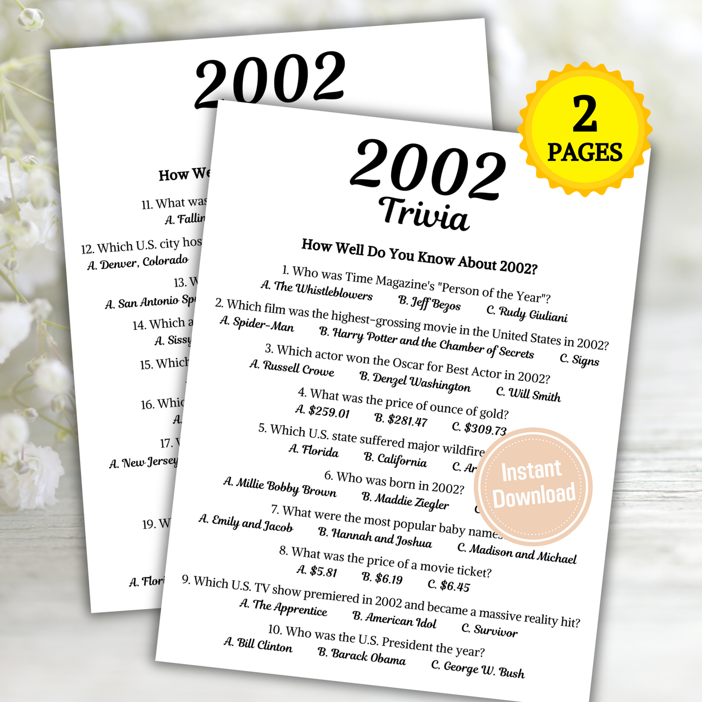 2002 Trivia Game | Printable 24th Birthday Party Game