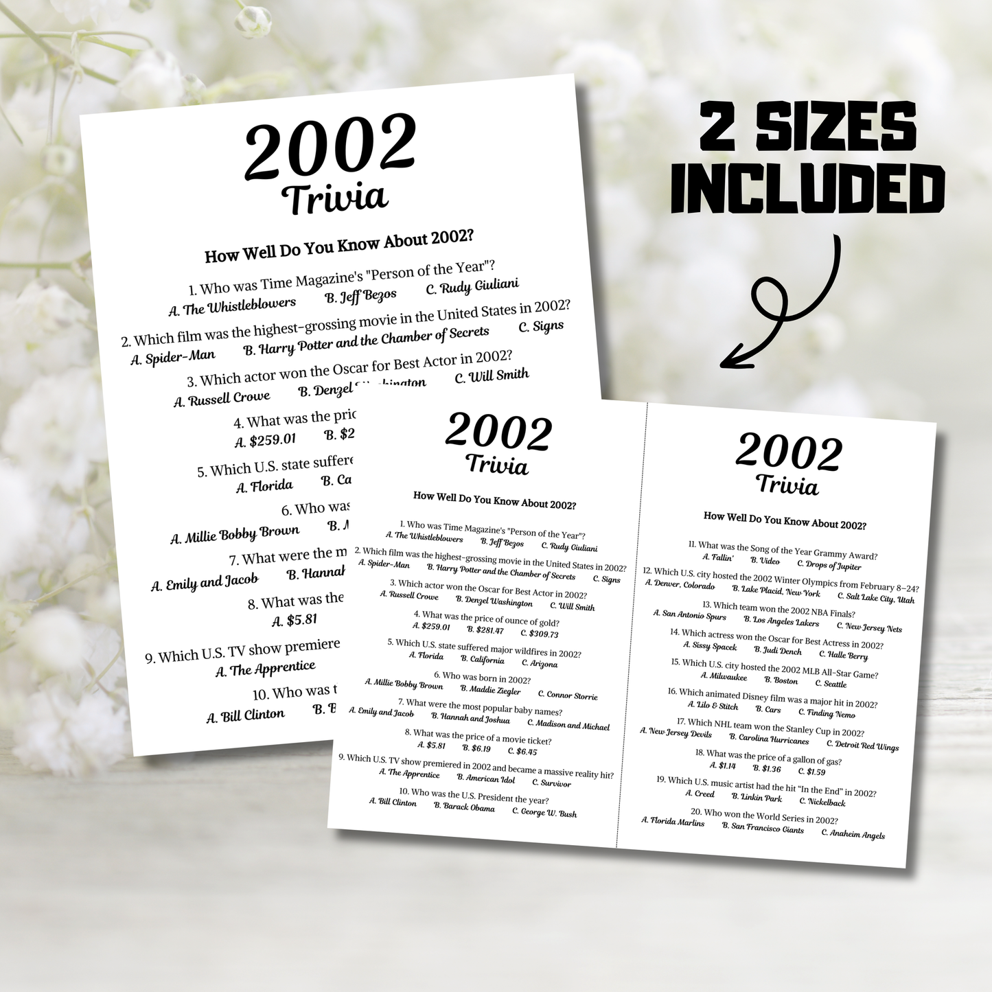 2002 Trivia Game | Printable 24th Birthday Party Game