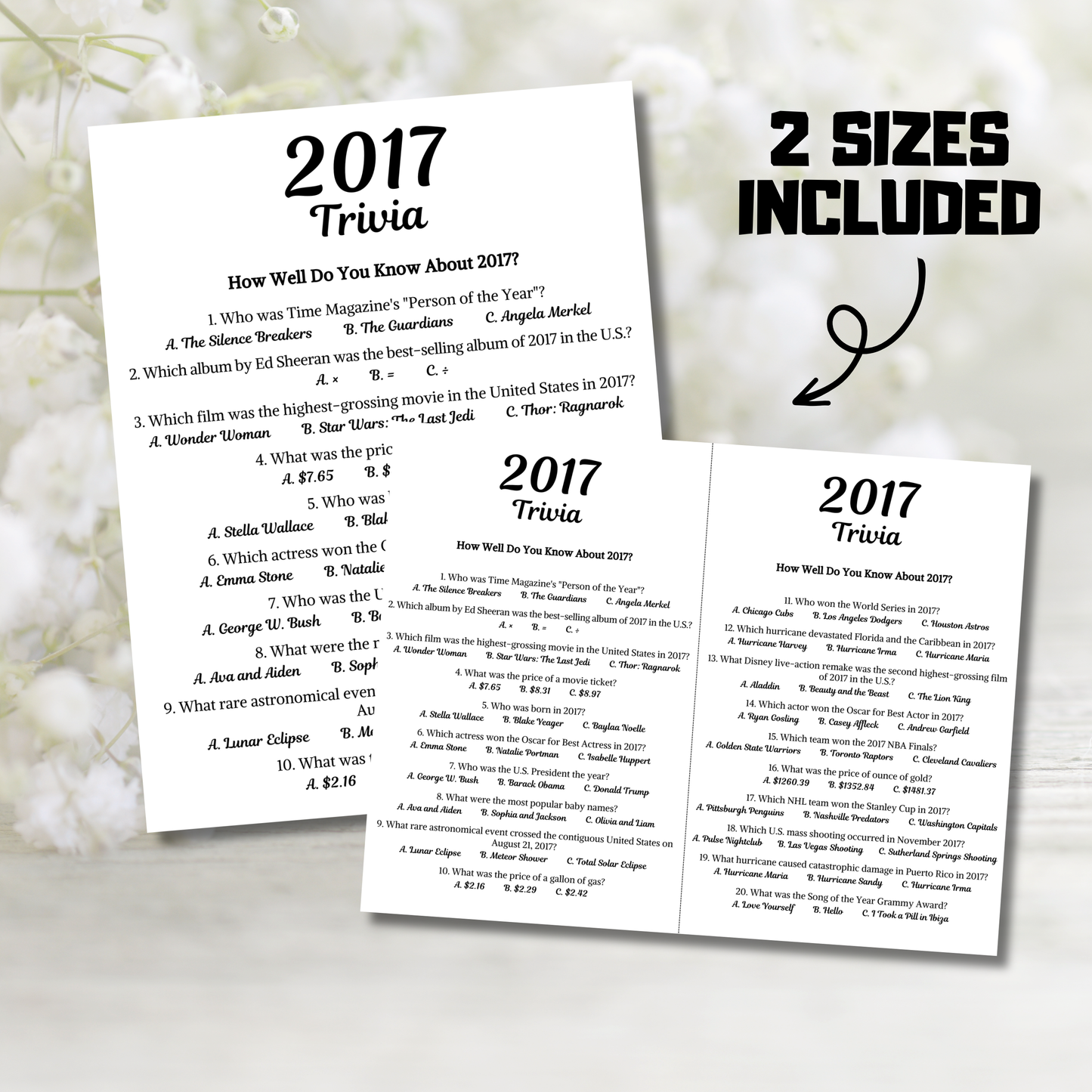 2017 Trivia Game | Printable 9th Birthday Party Game