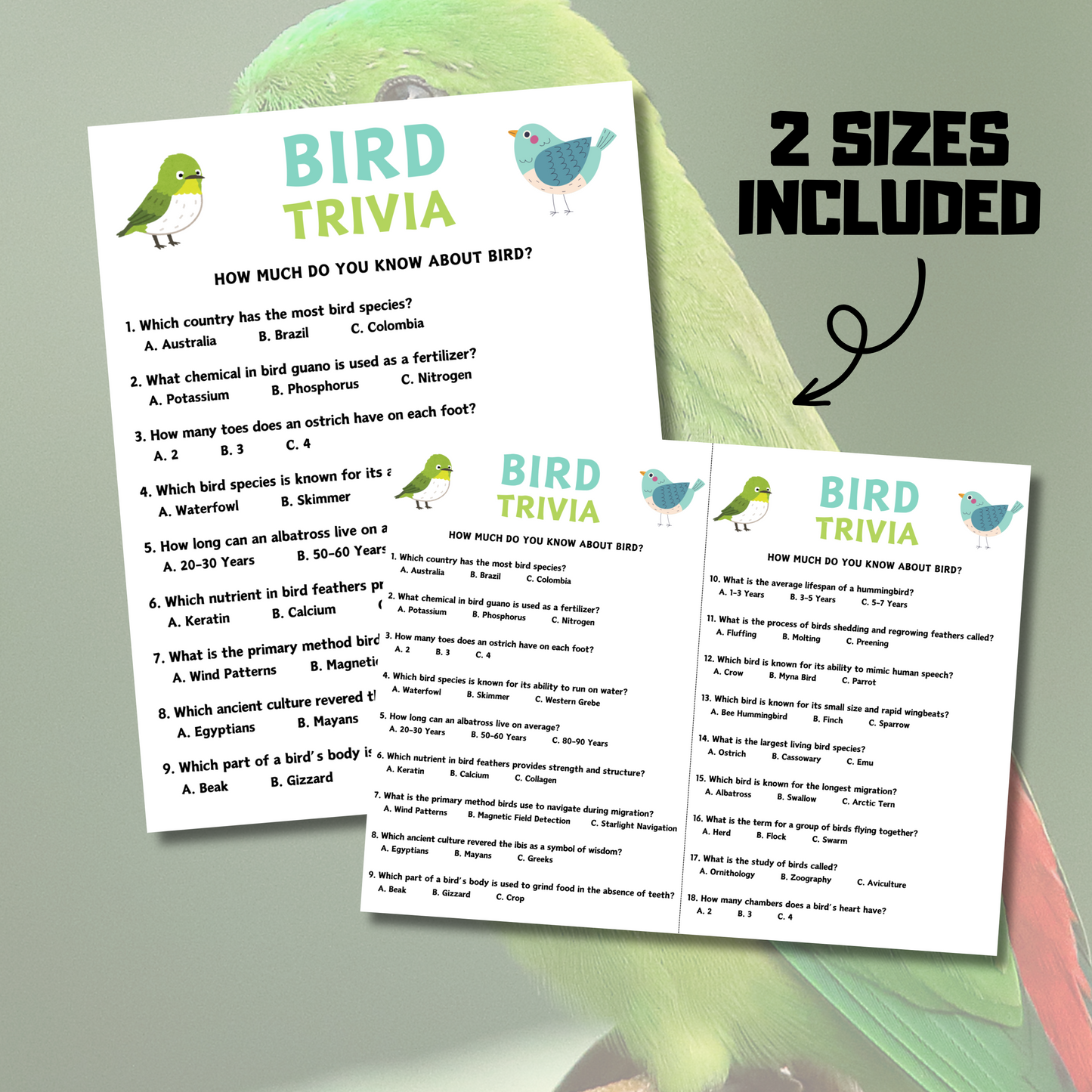 Bird Trivia Game | Bird Knowledge Quiz Game