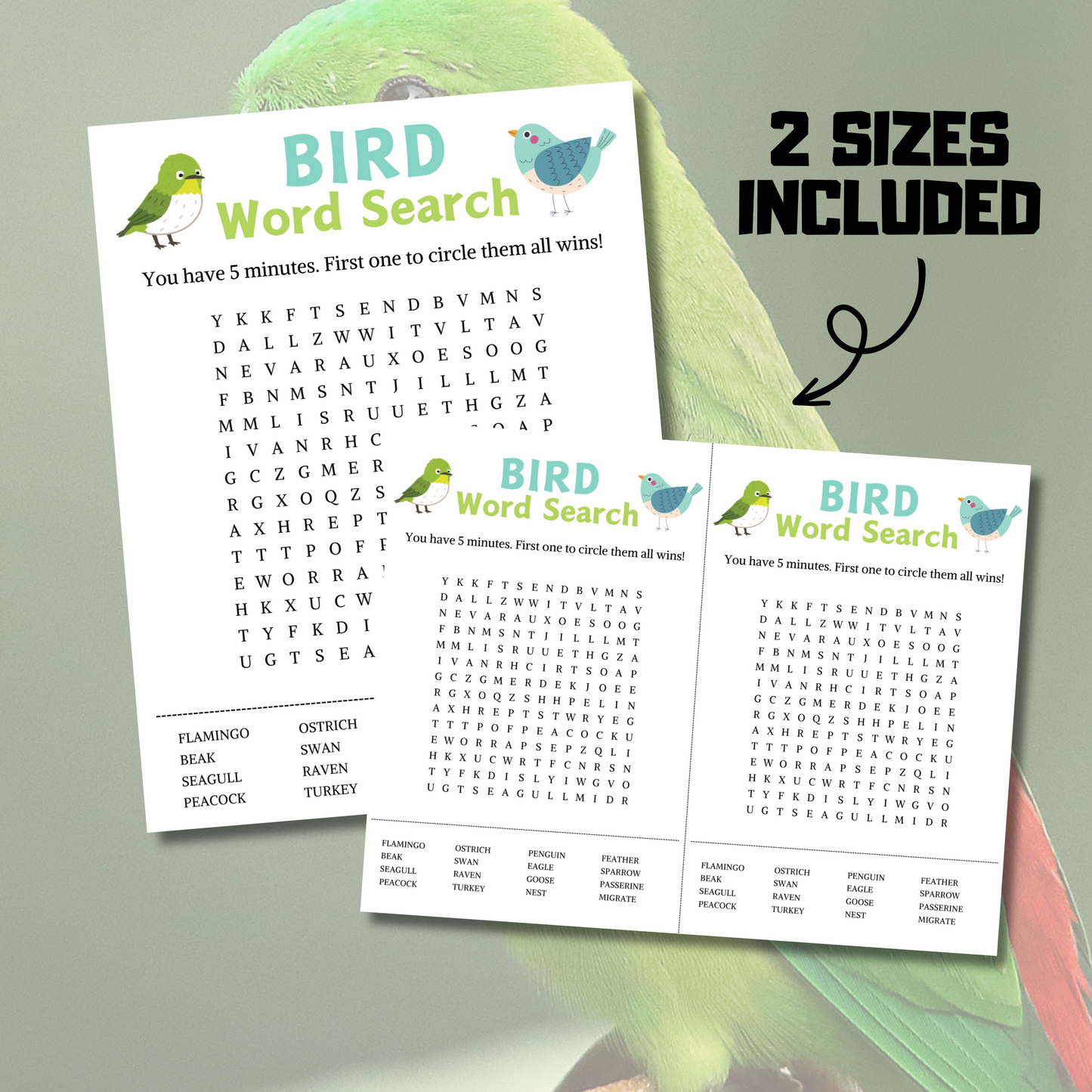 Bird Word Search Game | Minimalist Bird Party Word Find Game