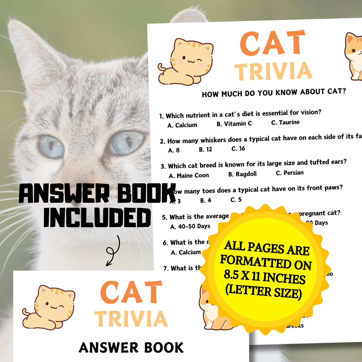 Cat Trivia Game | Cat Knowledge Quiz Game