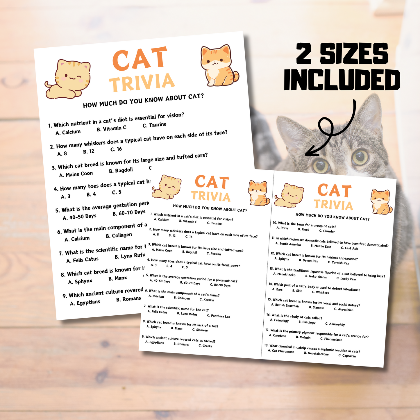 Cat Trivia Game | Cat Knowledge Quiz Game