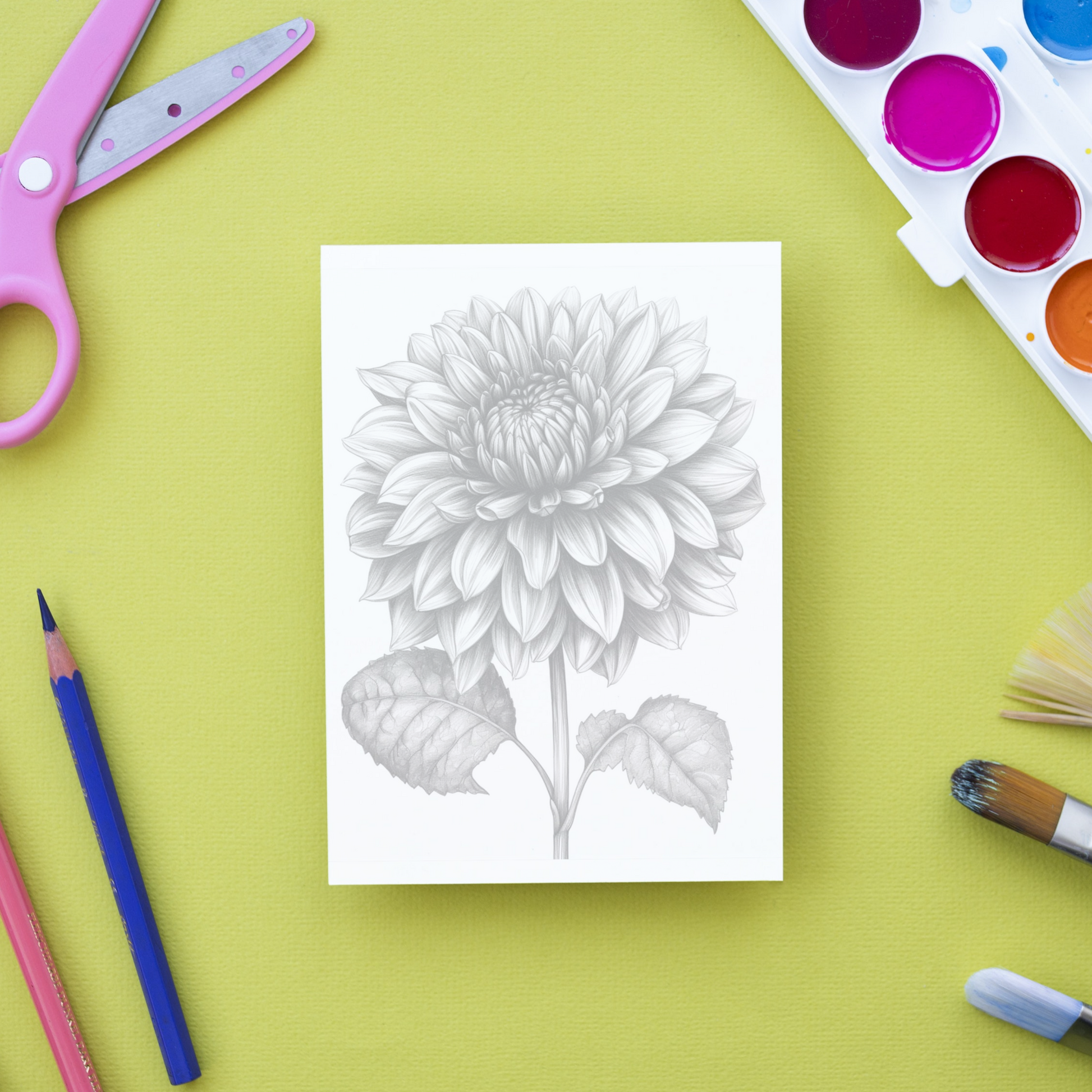 Flower Coloring Book 1: Flower Print Out Demo