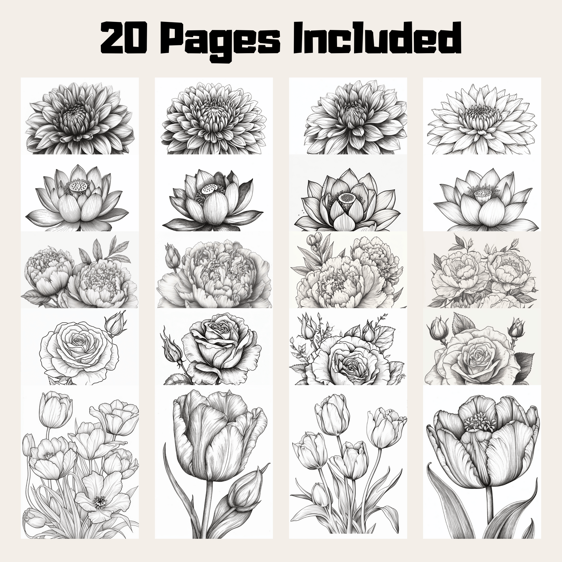 Flower Coloring Book 1: Flowers 20 Pages Included