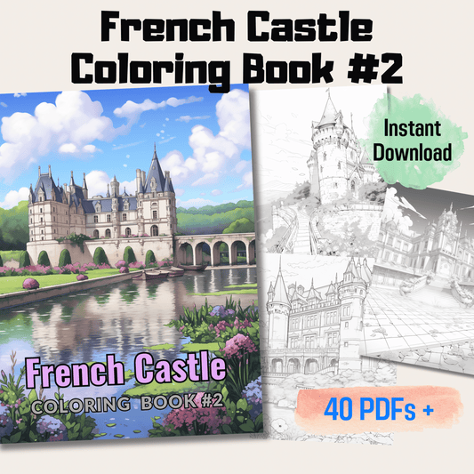 Chateaux of France Coloring Book, 20 Unique Page Coloring Book Featuring French Castles