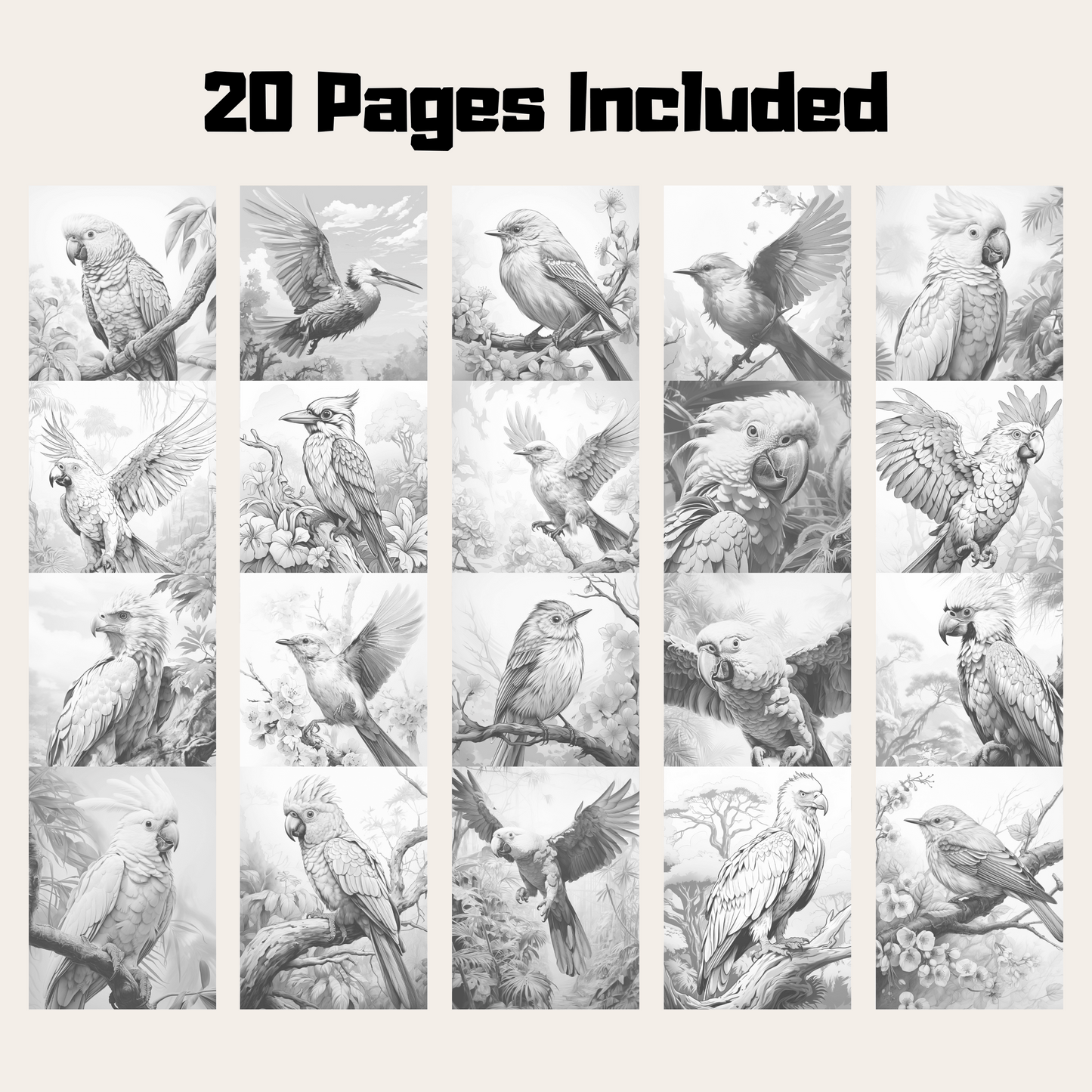 Realistic Bird Coloring Book 2: Birds 20 Pages Included