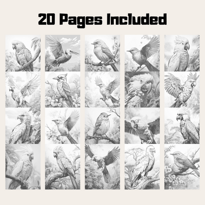 Realistic Bird Coloring Book 2: Birds 20 Pages Included