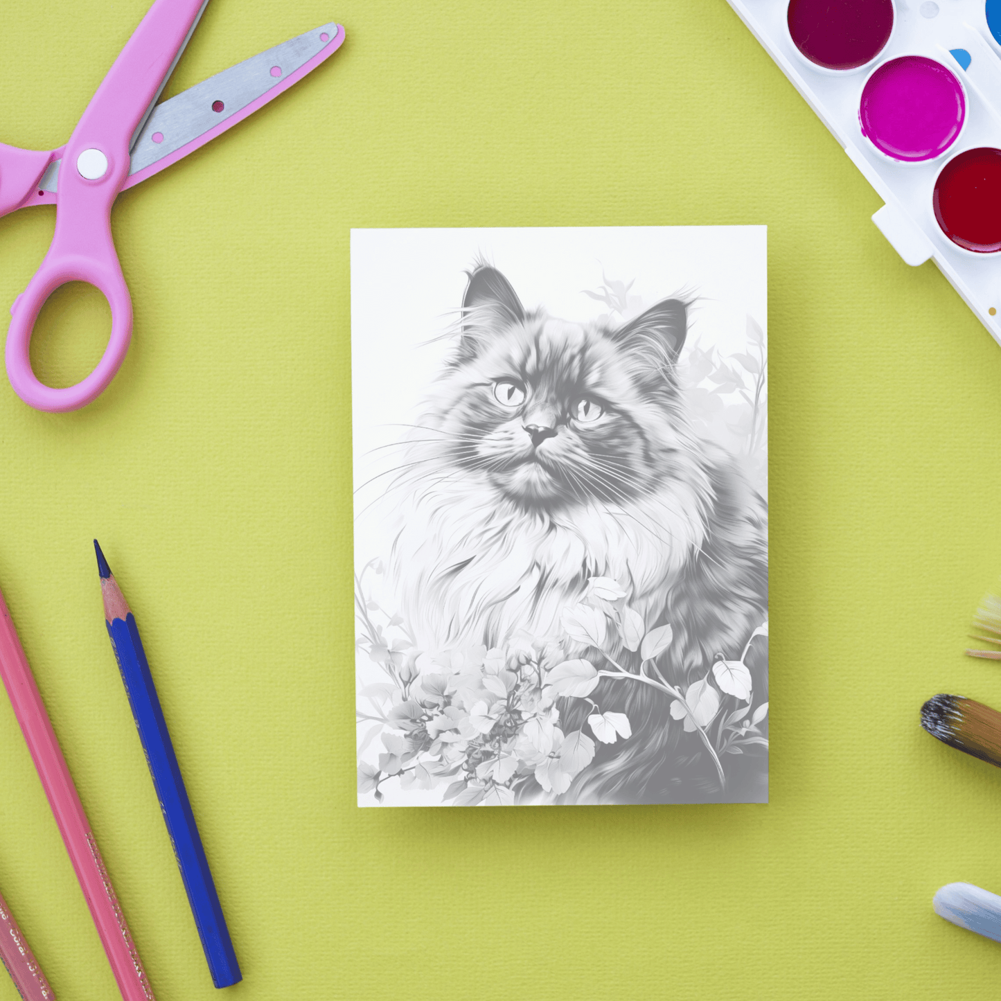 Realistic Birman Coloring Book, 20 Birman Grayscale Coloring Pages