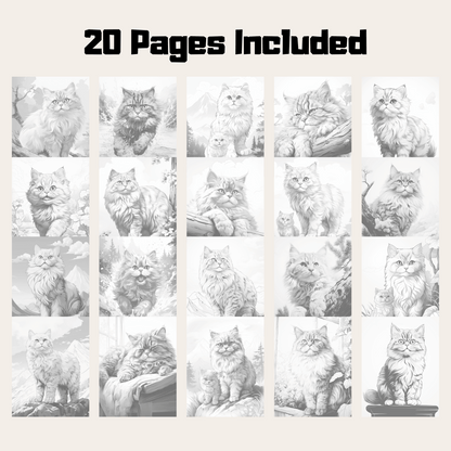 Realistic Persian Cat Coloring Book, 20 Persian Cat Grayscale Coloring Pages for All Age