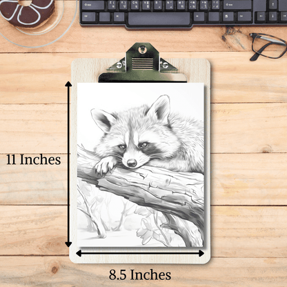 Realistic Raccoon Coloring Book 1: Raccoon Print Out Size Demo