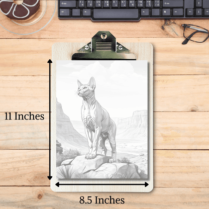 Realistic Sphynx Cat Coloring Book, 20 Sphynx Cat Grayscale Coloring Pages