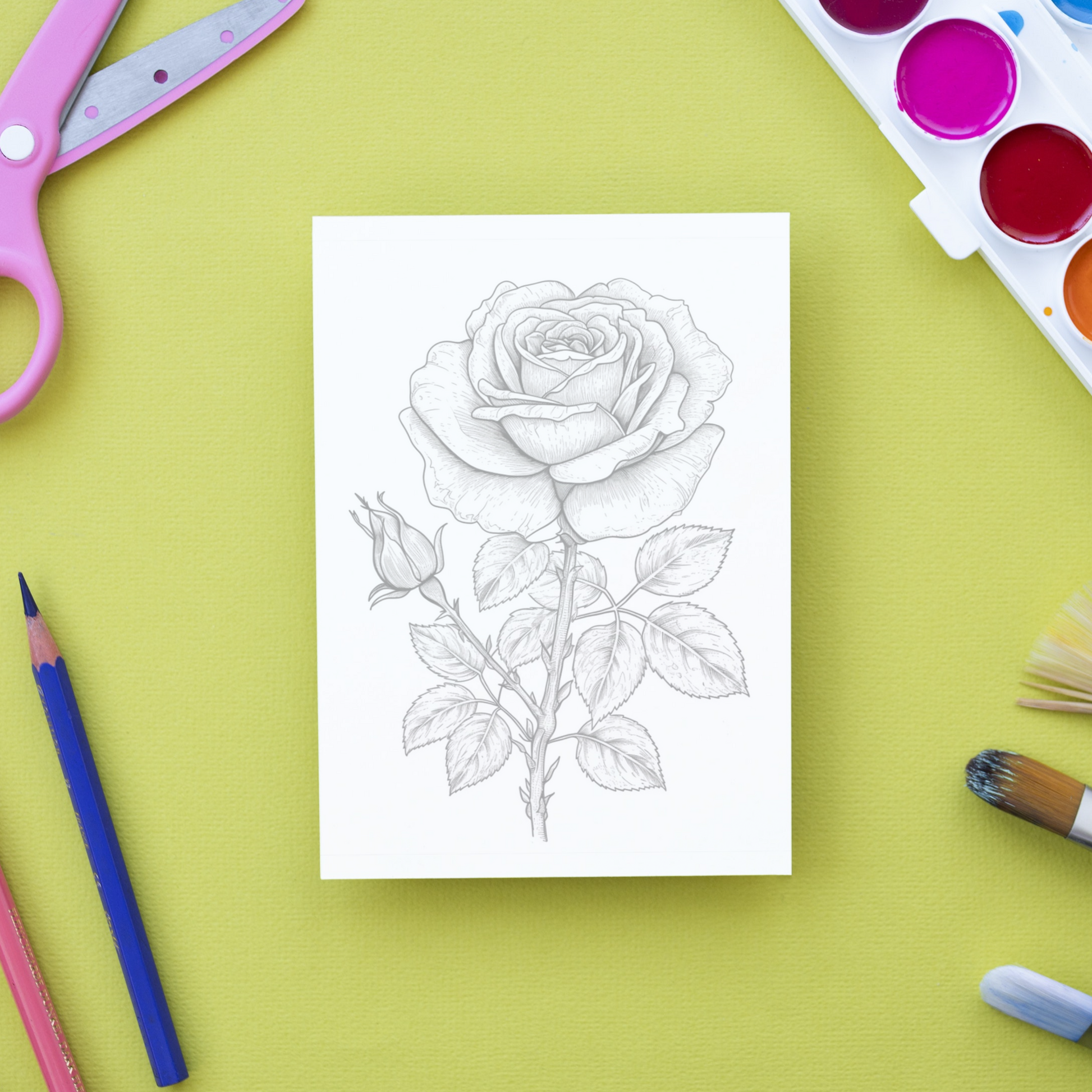 Rose Coloring Book 2: Rose Print Out Demo