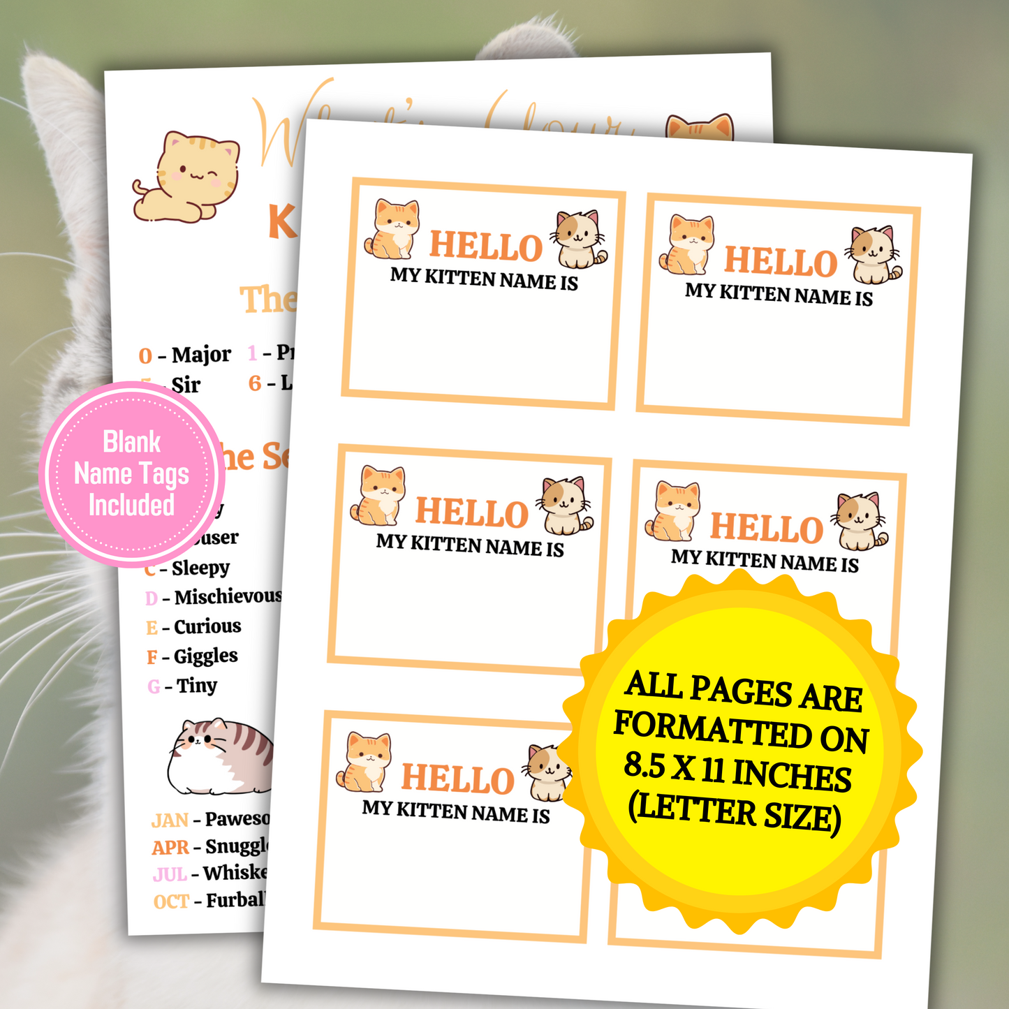 What's Your Kitten Name Game | Printable Kitten Name Generator