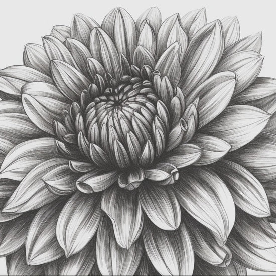 Flower Coloring Book 1: Flowers Demo Video