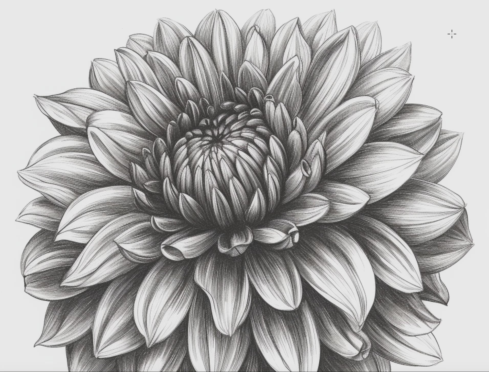 Flower Coloring Book 1: Flowers Demo Video