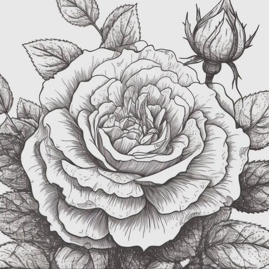 Rose Coloring Book 1: Roses Demo Video