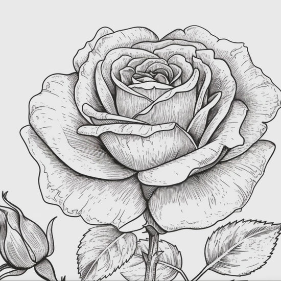 Rose Coloring Book 2: Roses Demo Video