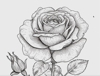 Rose Coloring Book 2: Roses Demo Video